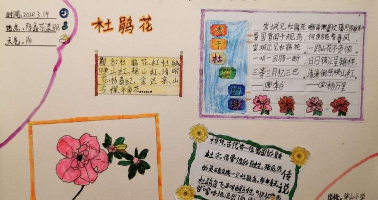 杜鹃花修剪枝条的最佳时间和方法是什么？