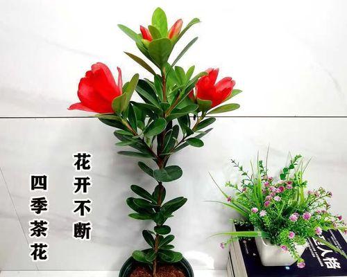 杜鹃花水养方法是什么？水养杜鹃花需要注意哪些问题？