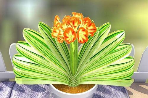 象征吉祥富贵的植物有哪些？它们各自代表什么含义？