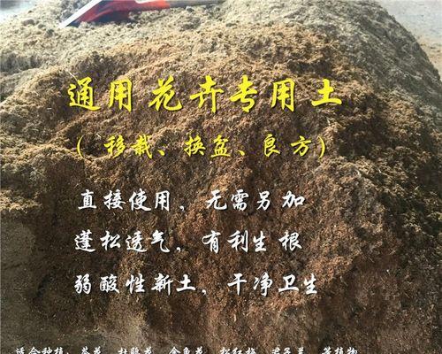 杜鹃花修剪的最佳时间是什么时候？修剪后如何护理？