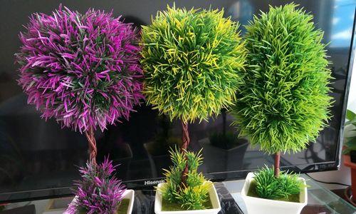 雪松的花语是什么？它在文化中占据什么地位？