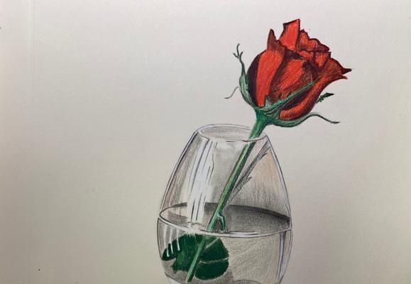 一朵玫瑰花代表什么？花语含义及送花常见问题解答？