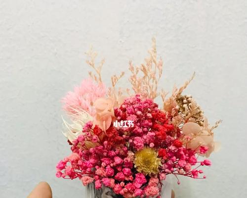 永生花的特点及养护方法有哪些？