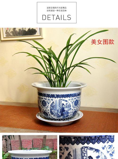 多花素馨用多大的盆合适？如何选择合适的花盆尺寸？