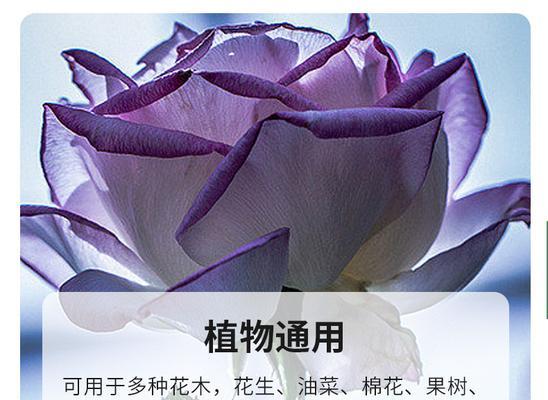 多菌灵用于果树灌溉安全吗？使用方法和注意事项是什么？