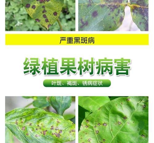 多菌灵用于果树灌溉安全吗？使用方法和注意事项是什么？