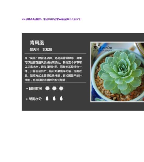 多肉植物浇水频率是多少？如何判断多肉是否需要浇水？