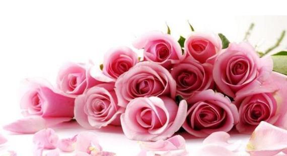 12朵玫瑰的花语是什么？送花时需要注意什么？
