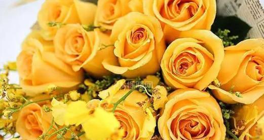 12朵玫瑰花的花语是什么？送花时需要注意什么？