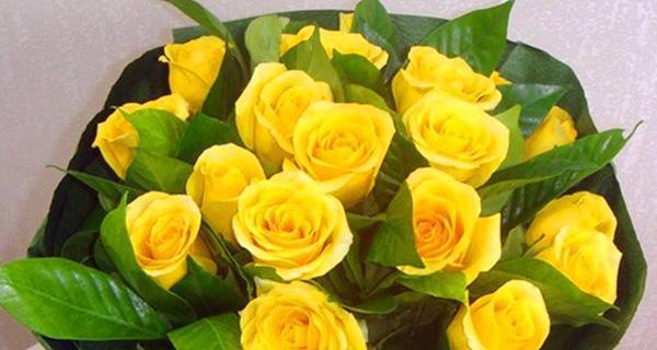 16朵黄玫瑰的花语是什么？送花时需要注意什么？