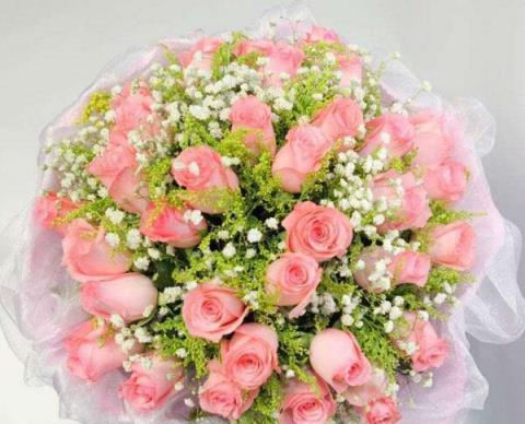 17朵玫瑰花的花语是什么？如何正确表达爱意？
