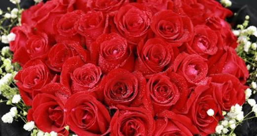 19朵玫瑰花语是什么意思？送花时需要注意什么？