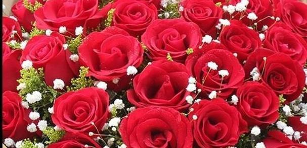 20朵红玫瑰的花语是什么？送花时需要注意什么？