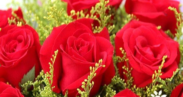 20朵红玫瑰的花语是什么？送花时需要注意什么？