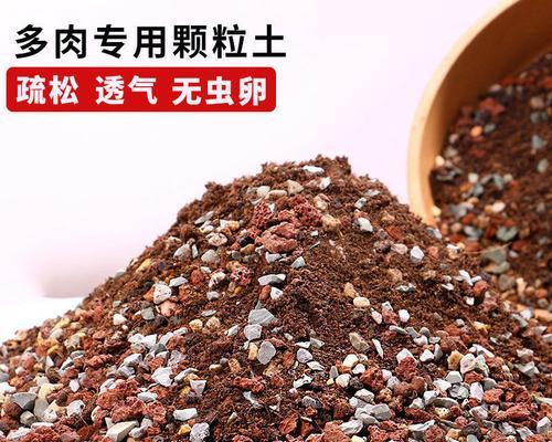 多肉颗粒土怎么配制？哪种颗粒土最适合多肉植物？