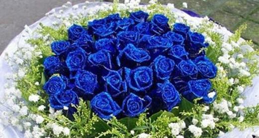 33朵玫瑰花语是什么？送33朵玫瑰代表什么含义？