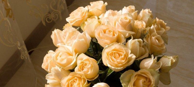 35朵玫瑰花语是什么意思？35朵玫瑰代表什么情感？
