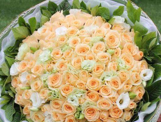 47朵玫瑰花的花语是什么？送47朵玫瑰代表什么含义？