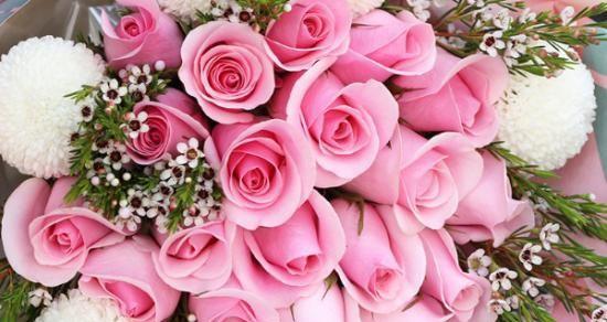 5朵玫瑰花代表什么含义？花语解读常见问题解答