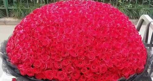 93朵玫瑰花的花语是什么？送93朵玫瑰代表什么含义？
