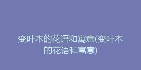 变叶木的风水寓意是什么？如何正确摆放以招财纳福？