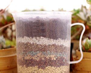 多肉植物配土方法是什么？如何正确配制种植土？