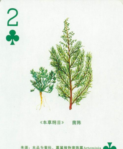 草本植物是什么意思？草本植物有哪些种类？