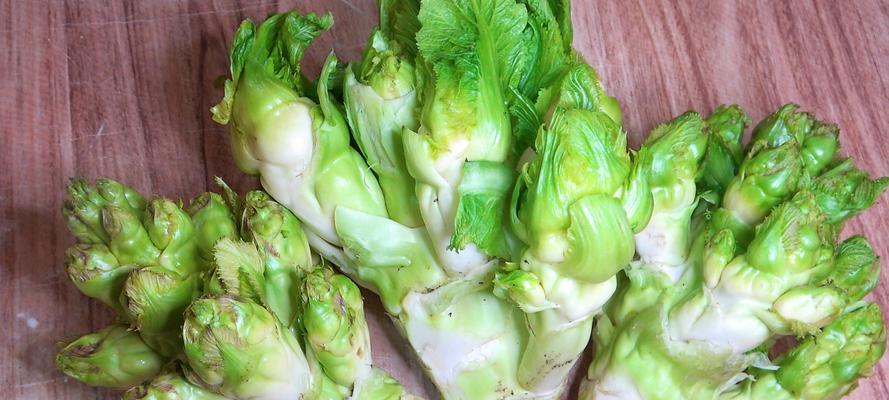 儿菜又叫什么菜？儿菜的别名有哪些？
