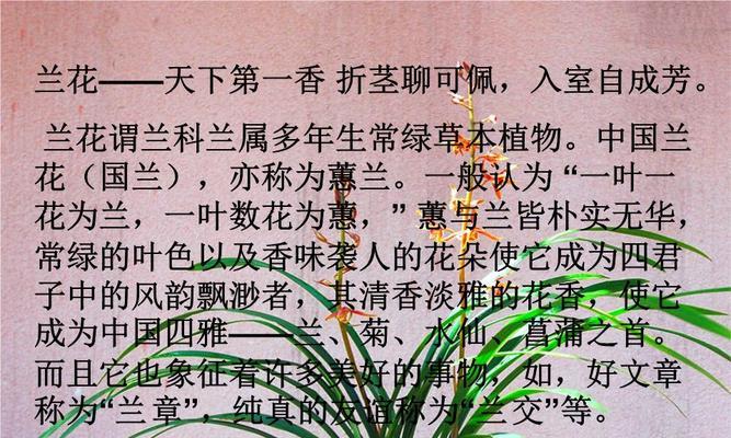 二月兰花期能持续多久？兰花养护需要注意什么？