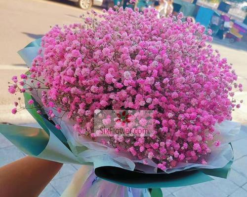 粉色满天星的寓意和花语是什么？