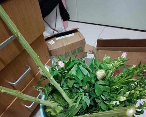 风铃花醒花技巧是什么？如何正确唤醒风铃花的美丽？