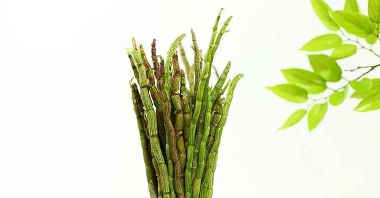 枫斗的功效与作用是什么？如何正确食用枫斗？