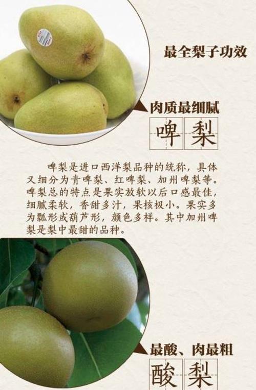 凤梨什么时候采摘最好？收获季节有哪些注意事项？