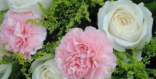 什么花代表背叛的爱？花语背叛的花有哪些？