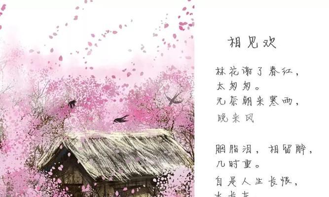 扶郎花的花语是什么？送扶郎花代表什么意思？
