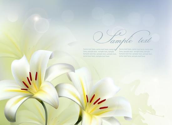 什么花的花语代表守护？揭秘守护之花的神秘含义？