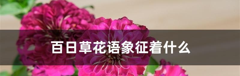 什么花代表想念爱人？花语中表达思念的花卉有哪些？