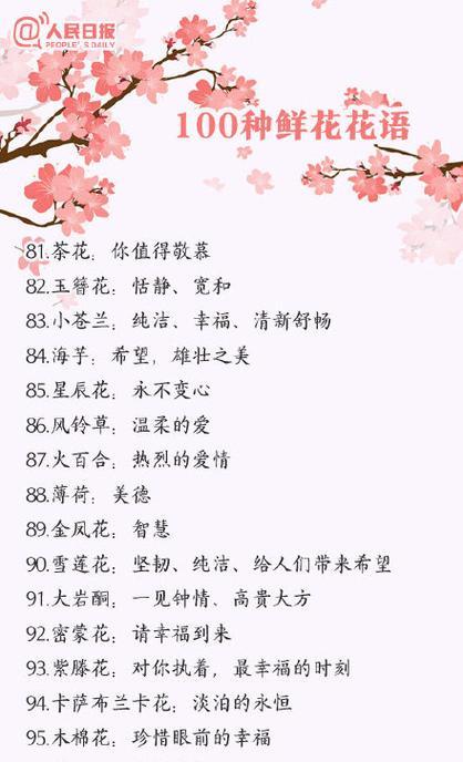 矢车菊代表什么？它的花语有哪些含义？