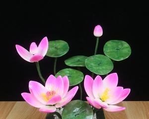 佛堂适合养什么花？哪些花卉能增添宁静氛围？