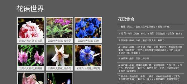 无尽夏的花语和寓意花语是什么意思？如何理解无尽夏的深层含义？