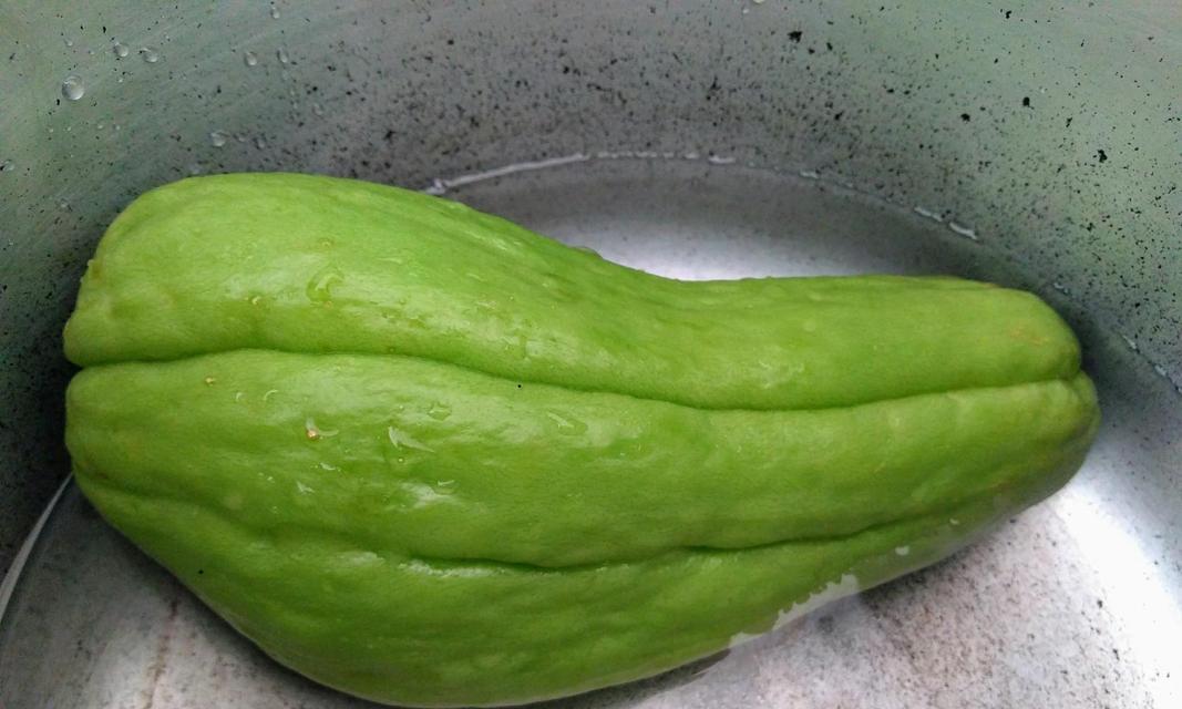 福寿瓜留种子的最佳方法是什么？步骤和注意事项有哪些？