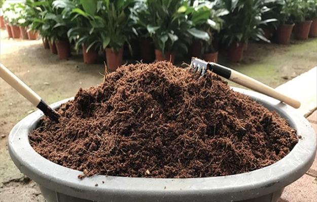 腐殖土是什么土？它对植物生长有哪些好处？