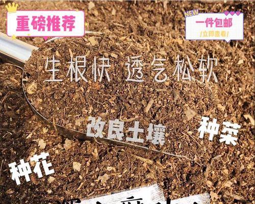 腐殖土适合种什么植物？如何正确使用腐殖土种植？
