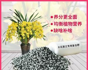 复合肥可以浇菜吗？使用复合肥对蔬菜生长的影响是什么？