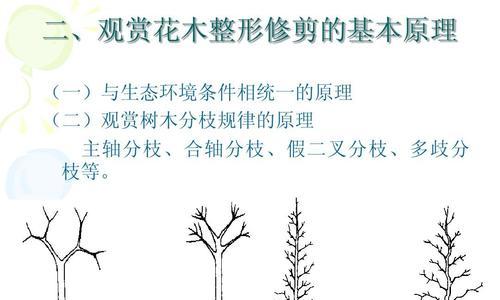复叶槭修剪的最佳时间是什么时候？修剪方法有哪些？