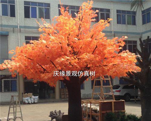 许愿树象征着什么？传说中的许愿树有哪些特点？