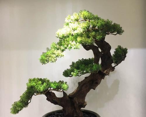 迎客松象征意义是什么？它在文化中扮演什么角色？