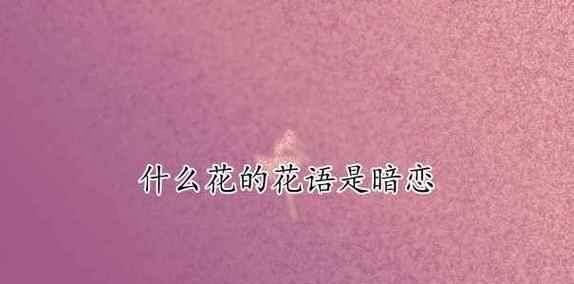 什么花的花语代表你？如何找到代表你的花语？