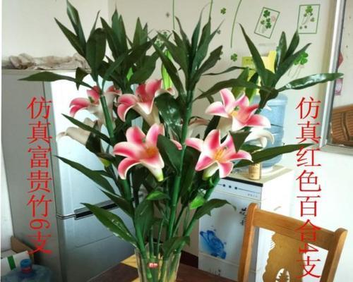 富贵竹会开花吗？花期长且形态优美的特征是什么？
