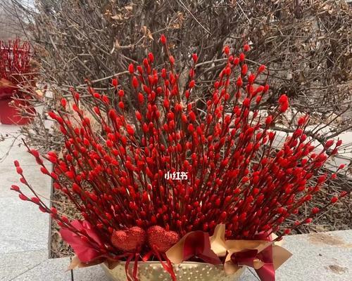 银柳代表什么含义？银柳的象征意义有哪些？